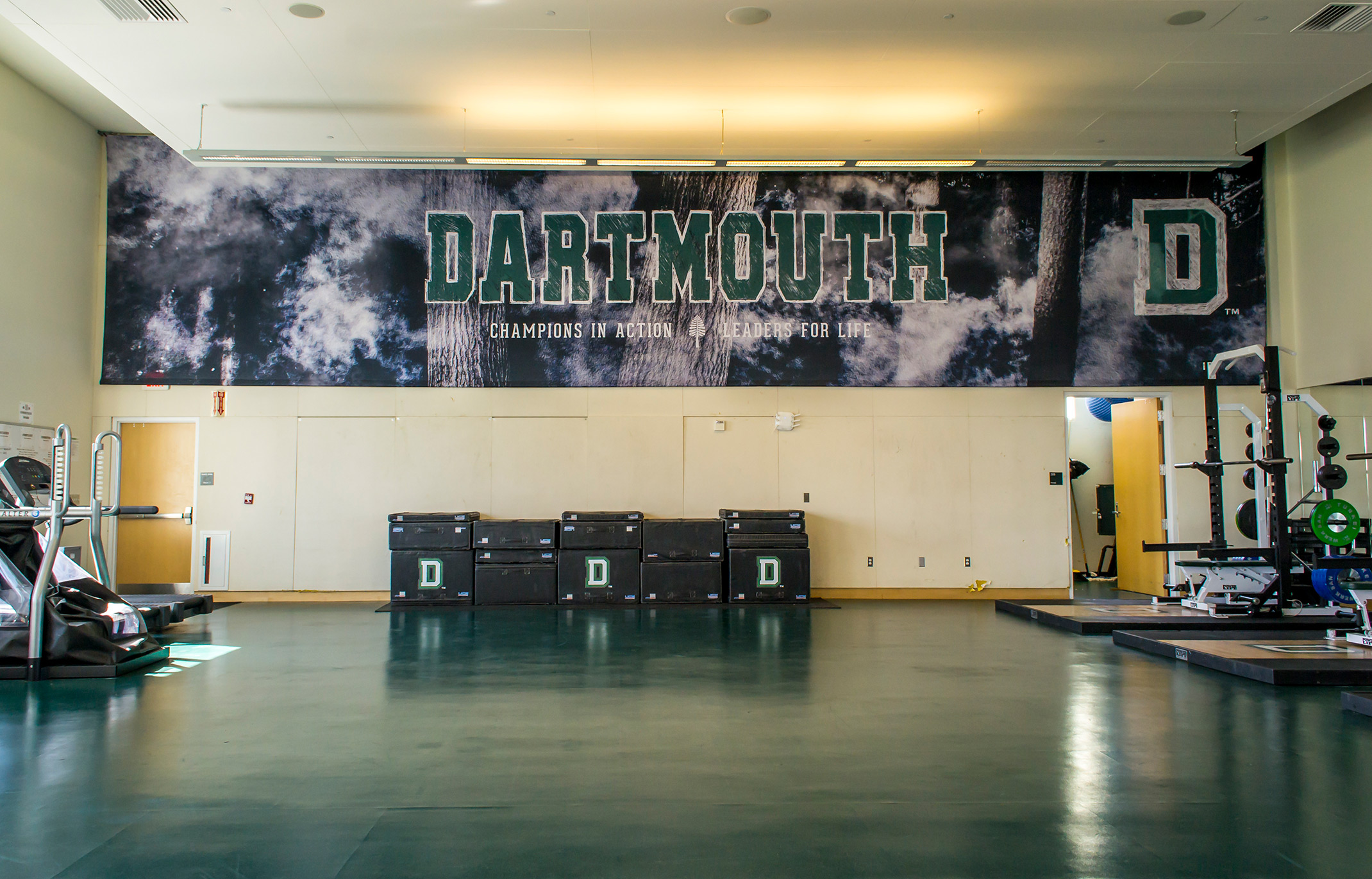 Dartmouth College Vinyl Banner