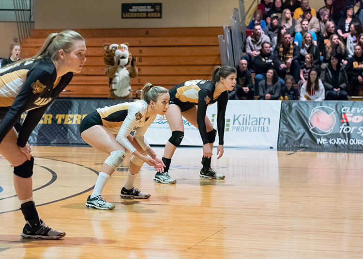 Softline Padded A-frames at Dalhousie University volleyball match