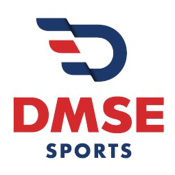 DMSE logo